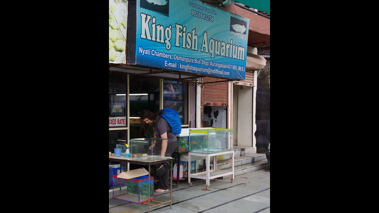Pet shop in Aurangabad (Maharashtra)