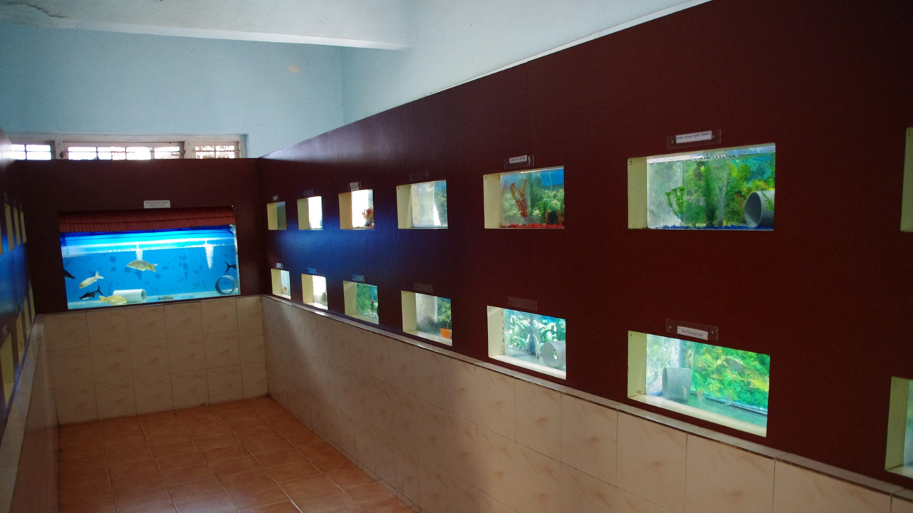 Aquarium in Ratnagiri (Maharashtra)
